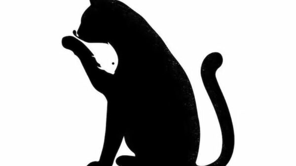 Check Inform me what form you see and discover out in case you have envy inside you