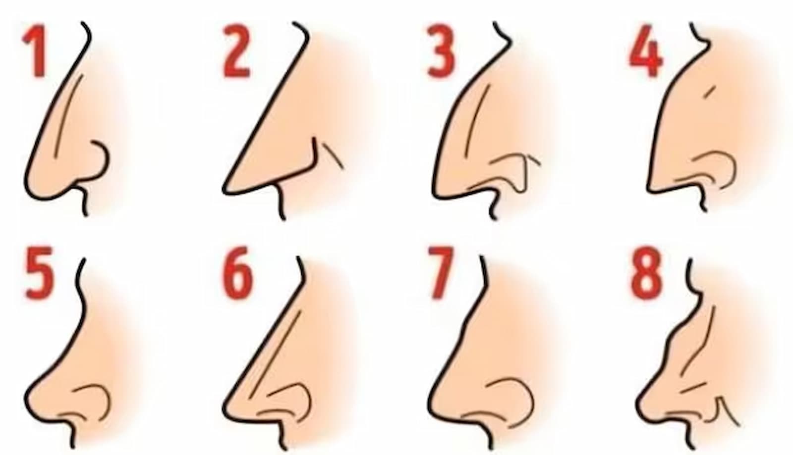 Check by the form of your nostril you’ll find out what sort of particular person you’re