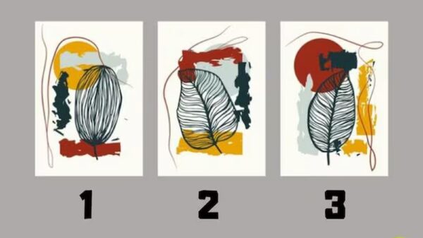 Check Inform me which card you preferred probably the most and you’ll know your degree of narcissism