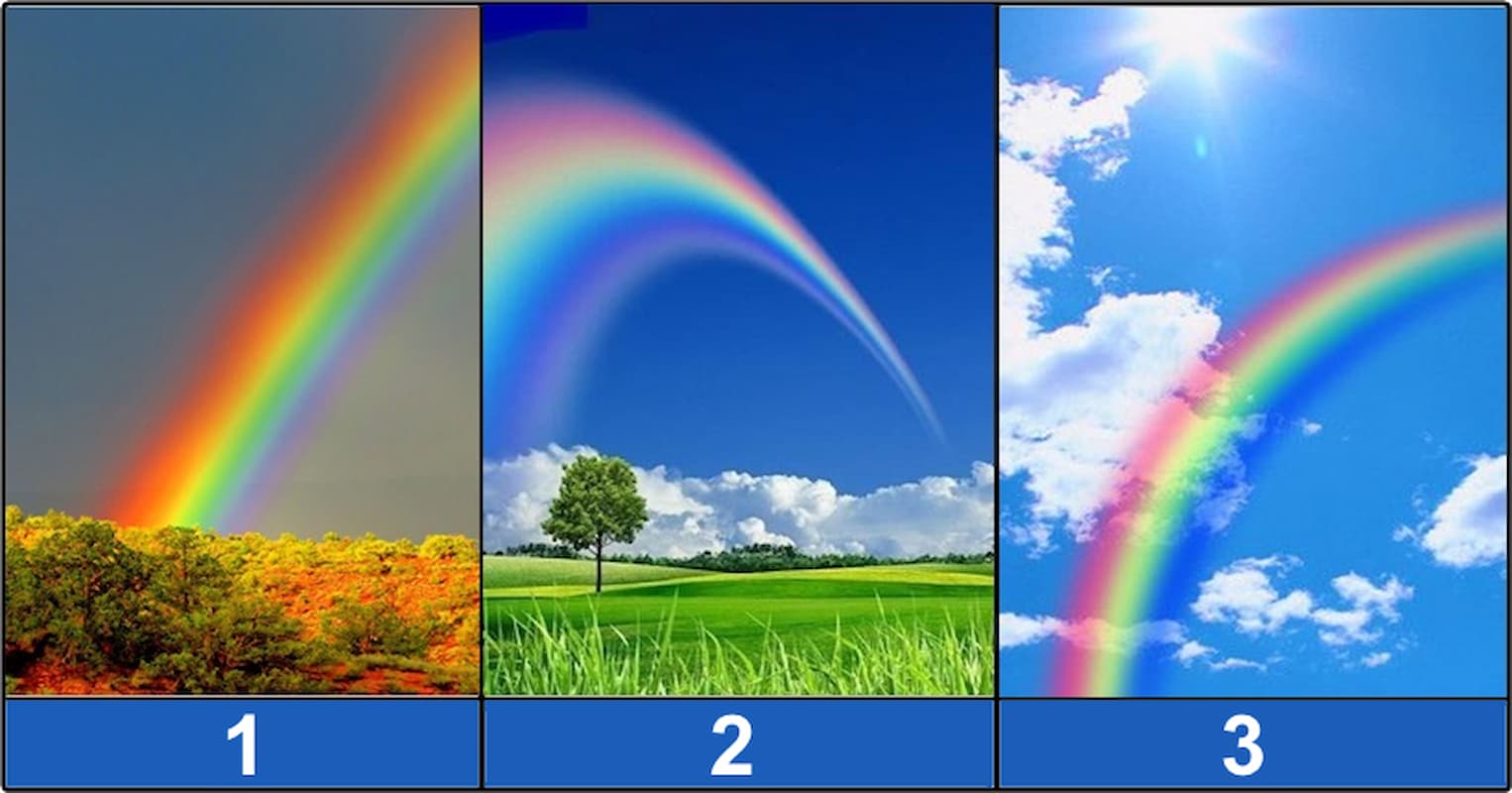 Select the Rainbow Quiz and uncover the life modifications that await you!
