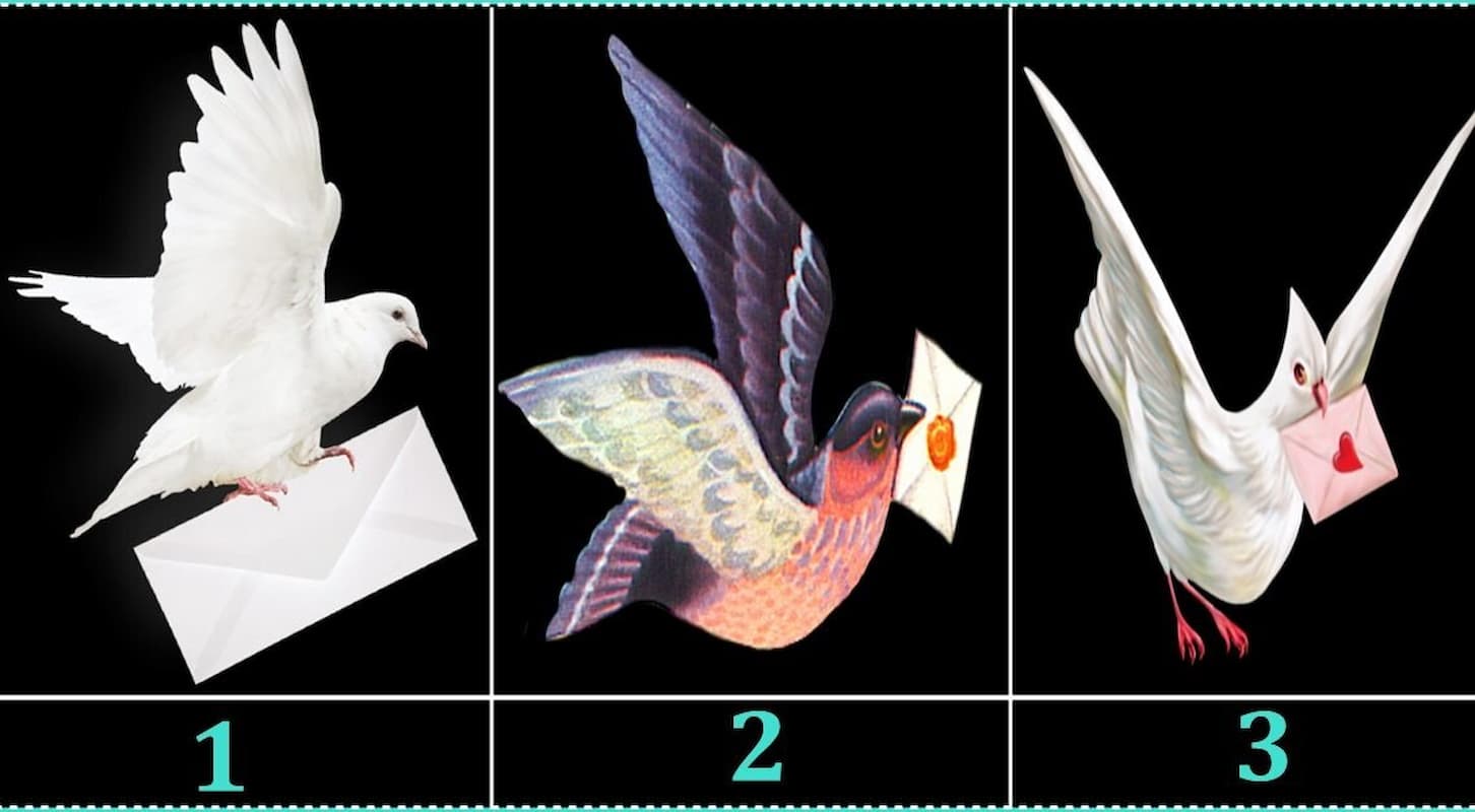 Take a look at The dove will convey you information that can transform your life