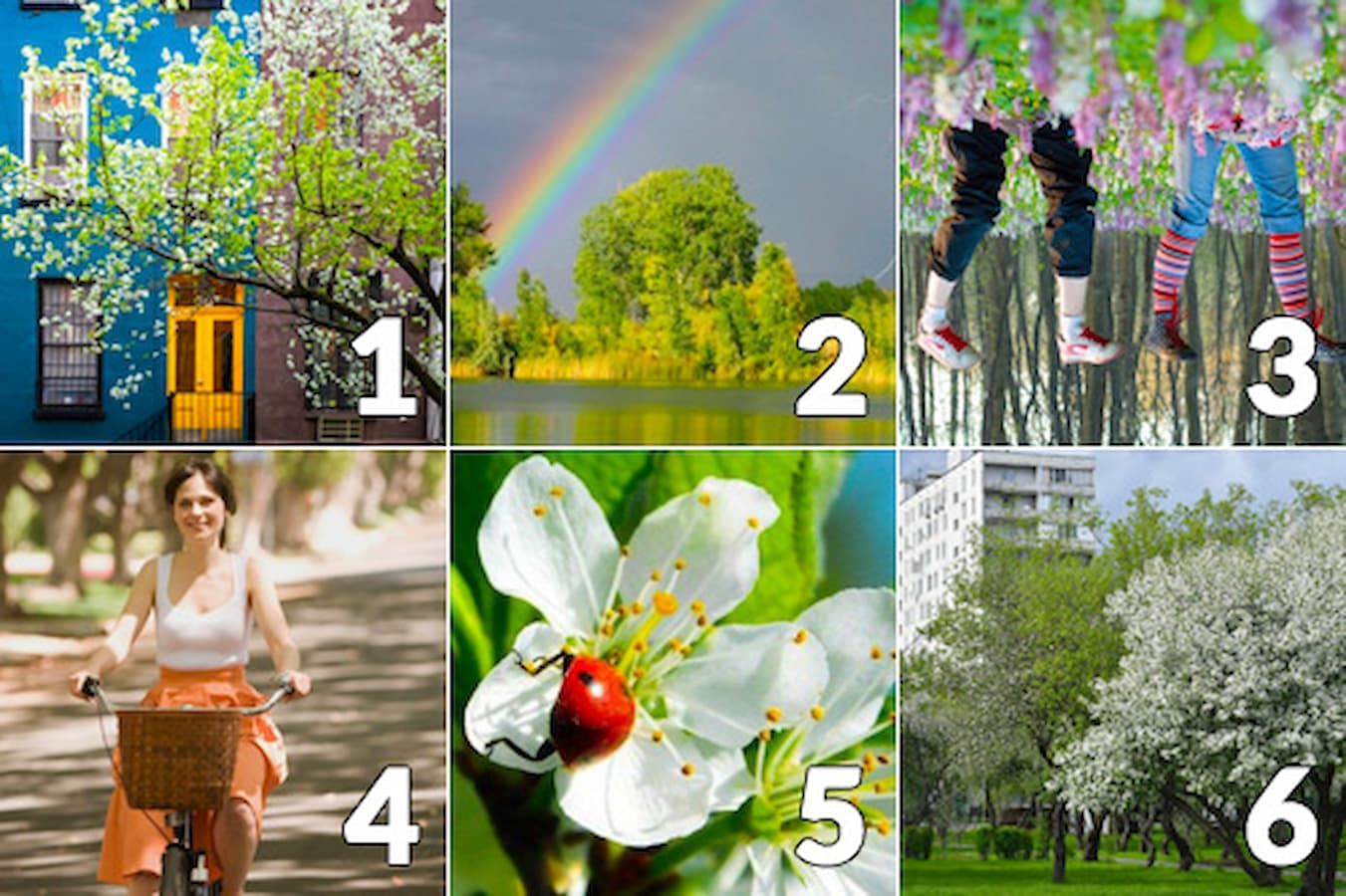 Forecast with photos: What awaits you in Could!