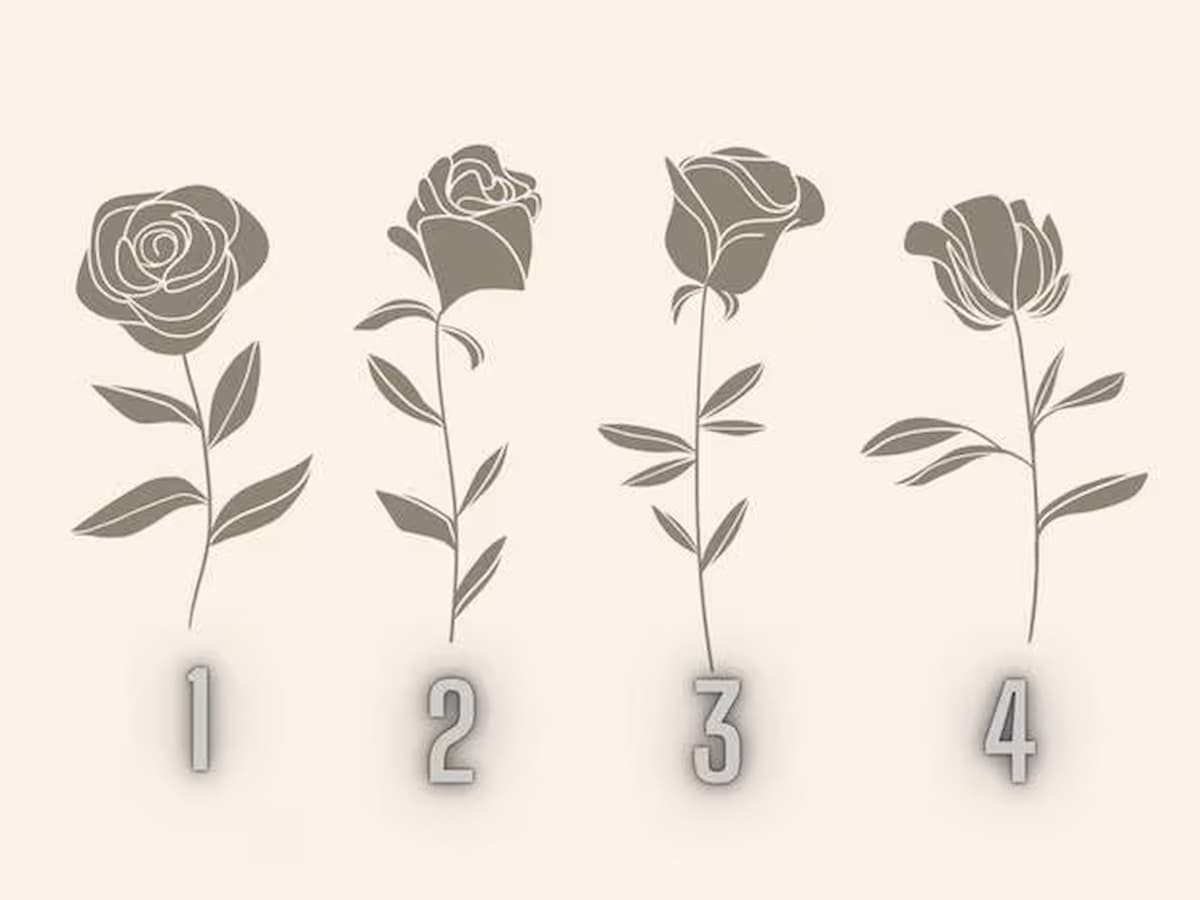 Take a look at: You’ll know what folks say about you when you select the rose you want essentially the most