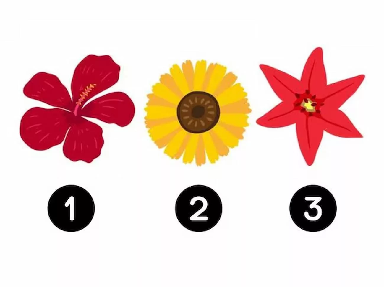 Select a flower and you’ll know what your inside voice is telling you