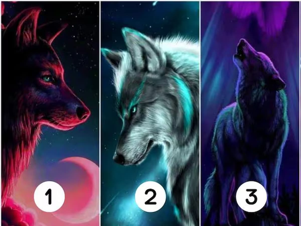 Discover out what makes you distinctive by selecting one in all these wolves