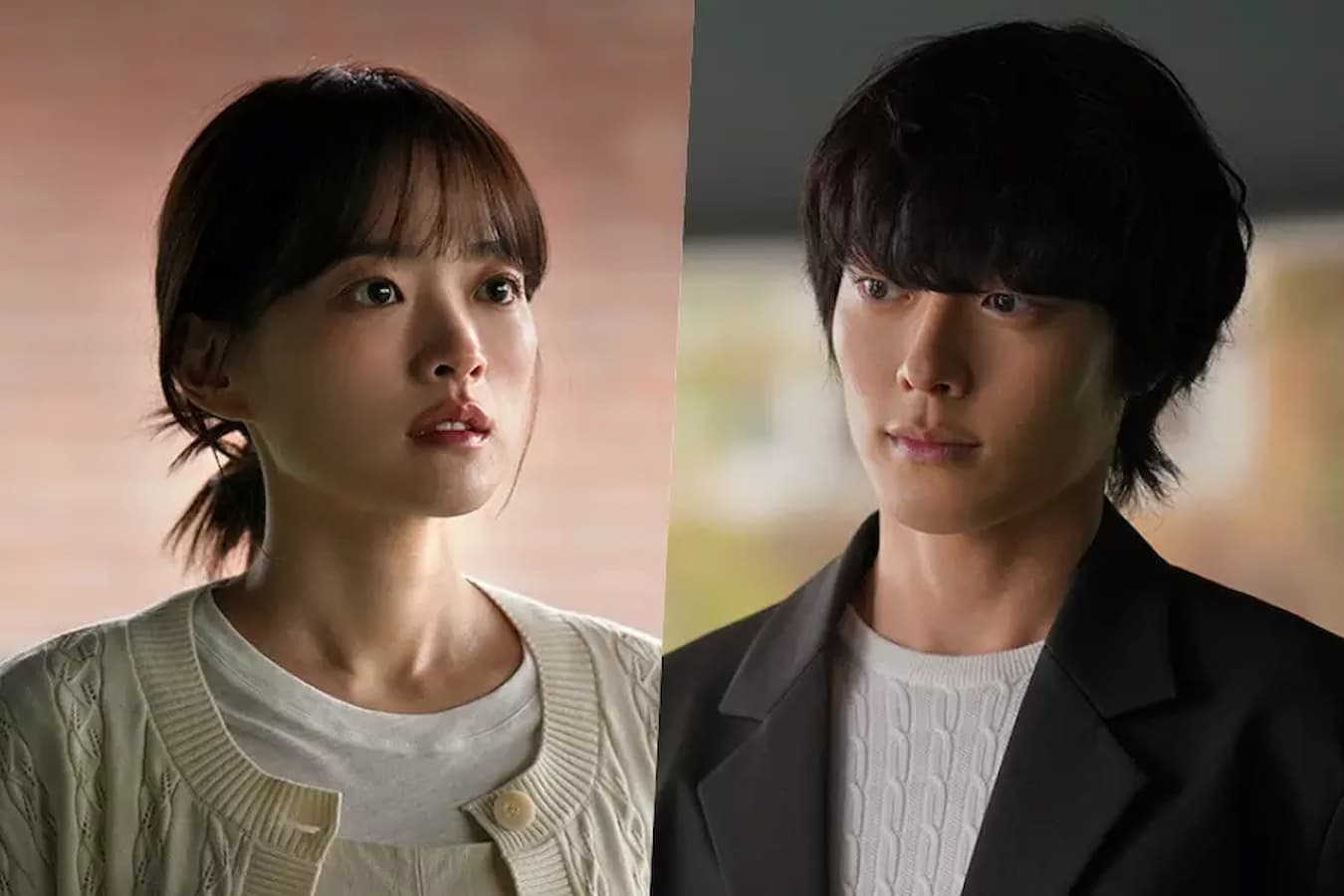 Jang Ki Younger’s romantic advances catch Chun Woo Hee off guard in ‘Atypical Household’