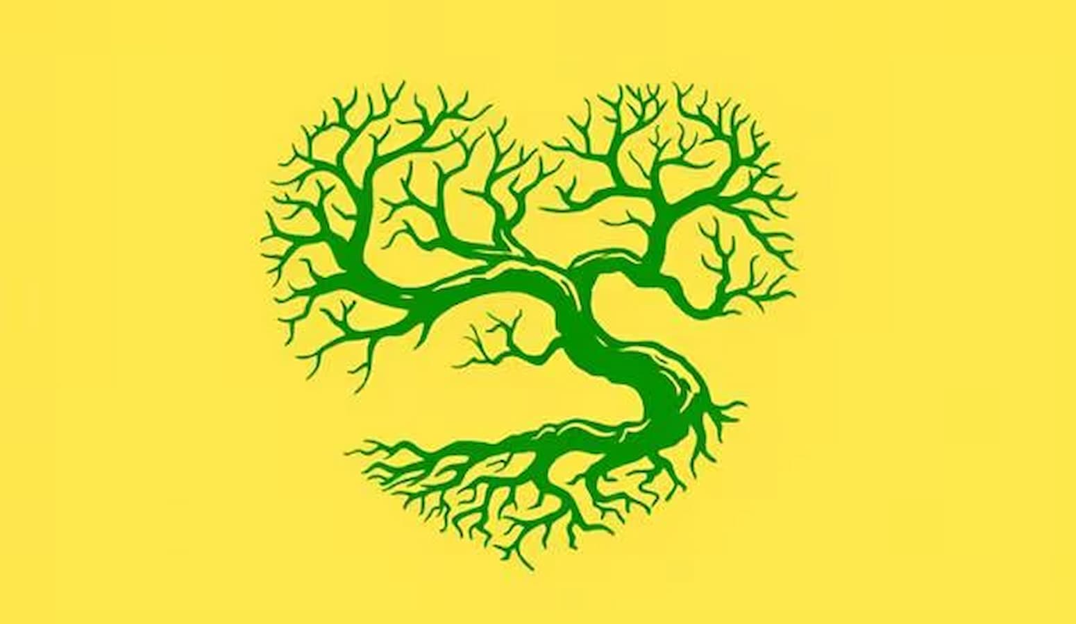 Optical Phantasm: Learn the way hateful you might be, primarily based on the primary merchandise you see