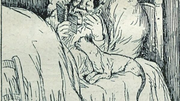 This was one of the crucial troublesome puzzles.  Can you discover this outdated man’s spouse?