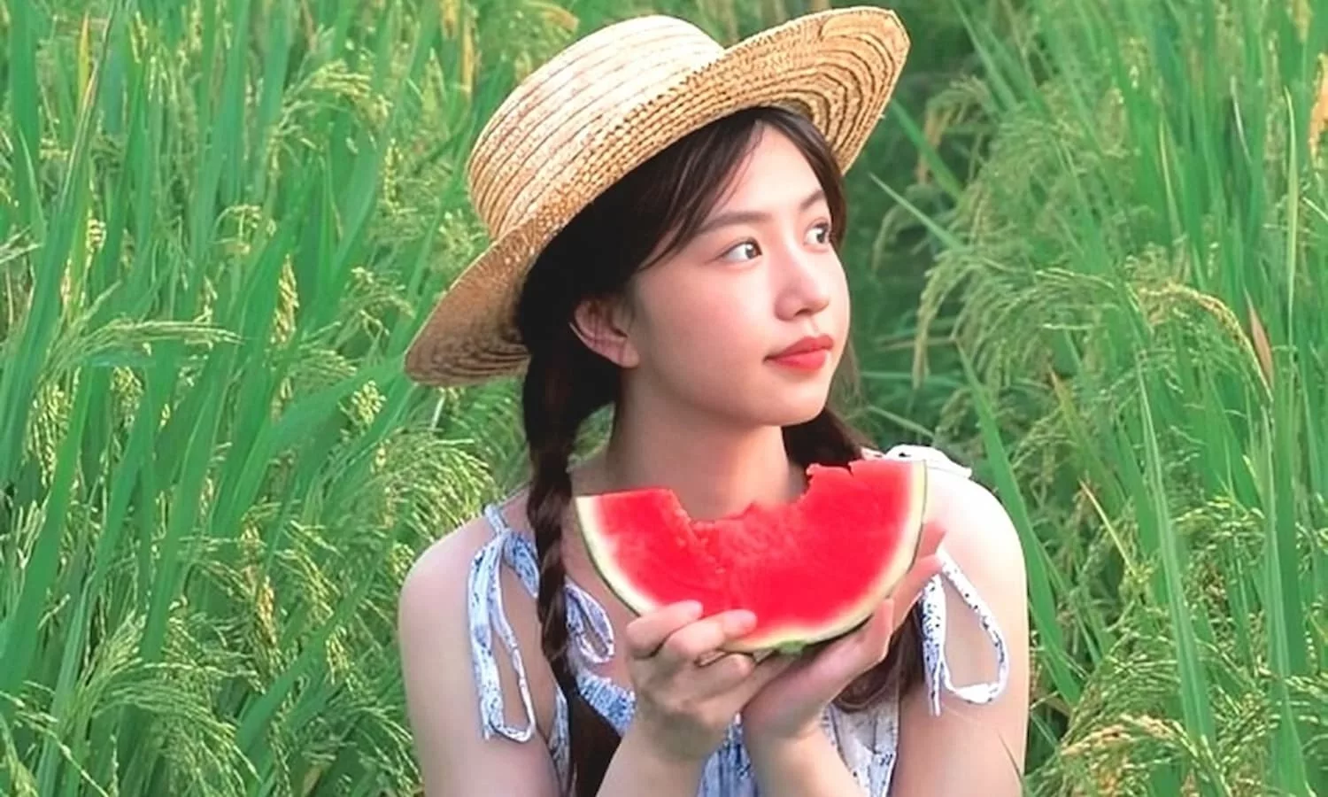 Quiz: What tropical fruit does it constitute?